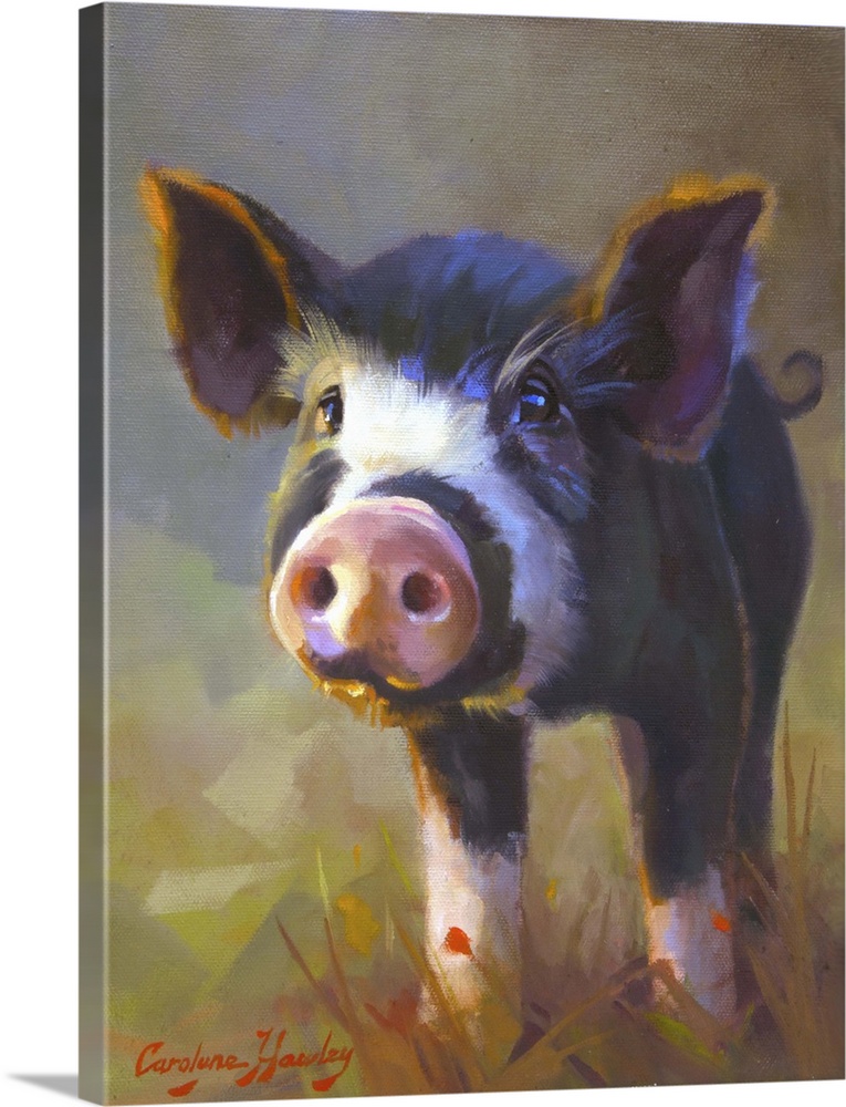 Contemporary artwork of a cute black and white pig with a big pink nose.