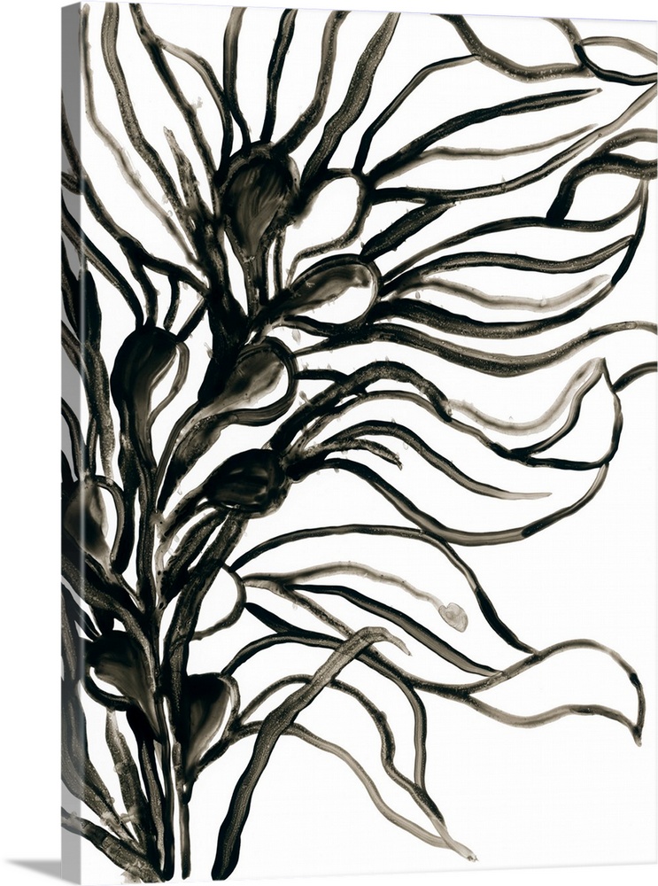 A simple, minimalist black and white painting of wavy leaves on a stalk