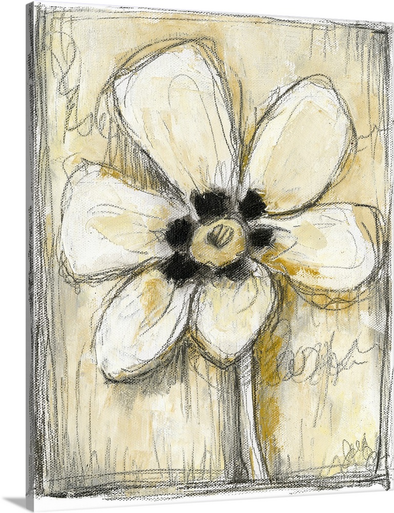 Blossom Sketches I | Canvas Wall Art Print | Great Big Canvas | 16x16