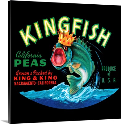Kingfish
