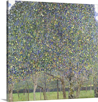 Klimt Multicolor Landscapes II