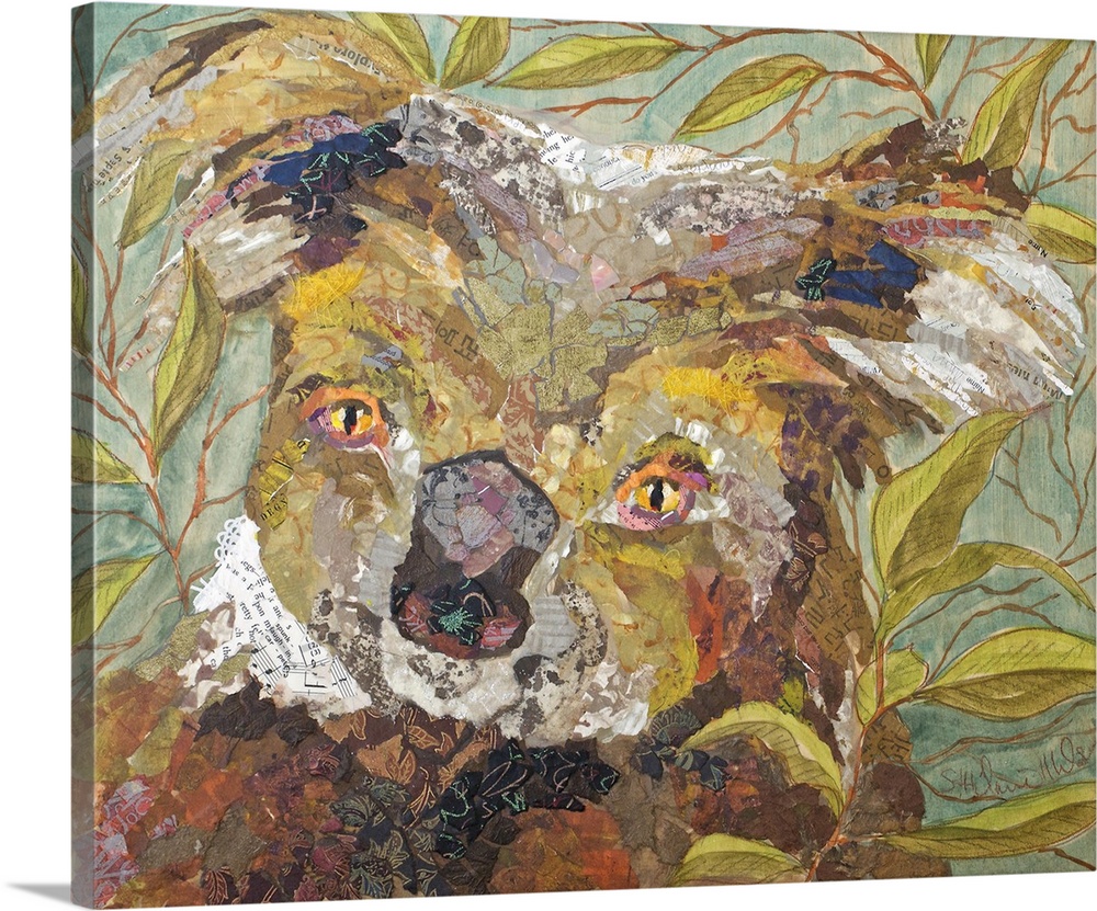 Koala Collage II