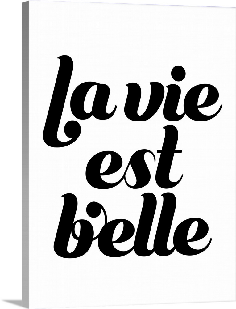 Black and white typography that says, "La vie est belle" in black script on a white background.