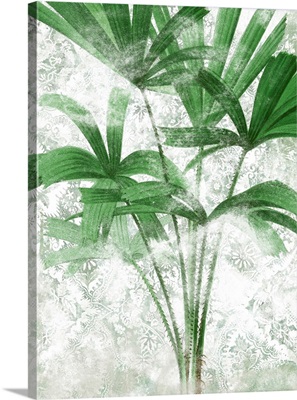 Lace Palms II
