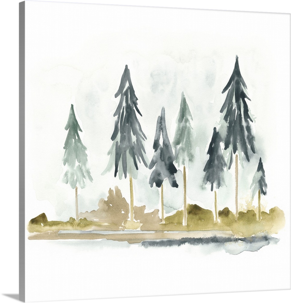 Watercolor painting of pine trees against a white background.
