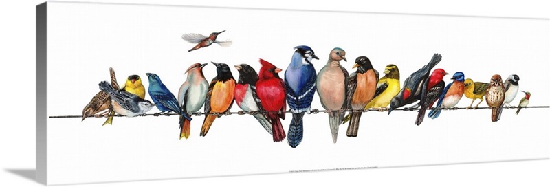 Large Bird Menagerie Wall Art, Canvas Prints, Framed Prints, Wall Peels ...