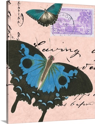 Le Papillon Script V