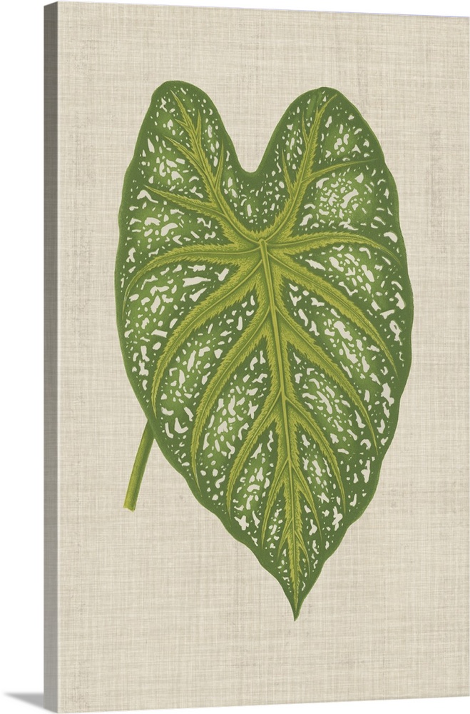 This decorative artwork features an illustrative leaf with speckling detail over a neutral linen background.