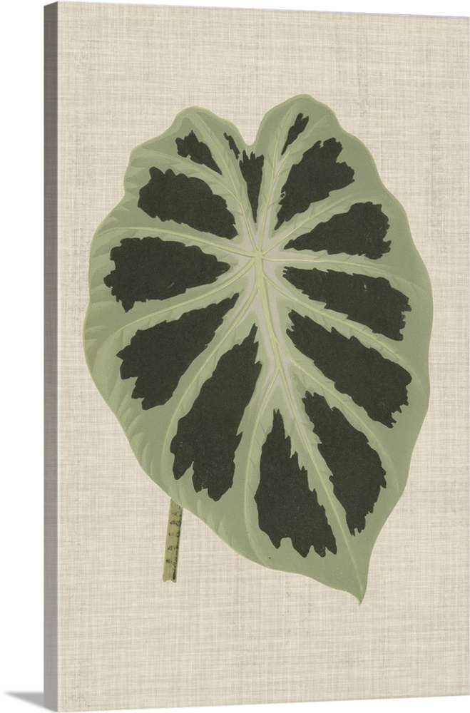 This decorative artwork features an illustrative leaf with dark green spots over a neutral linen background.