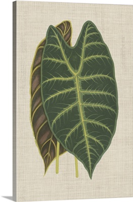 Leaves on Linen III