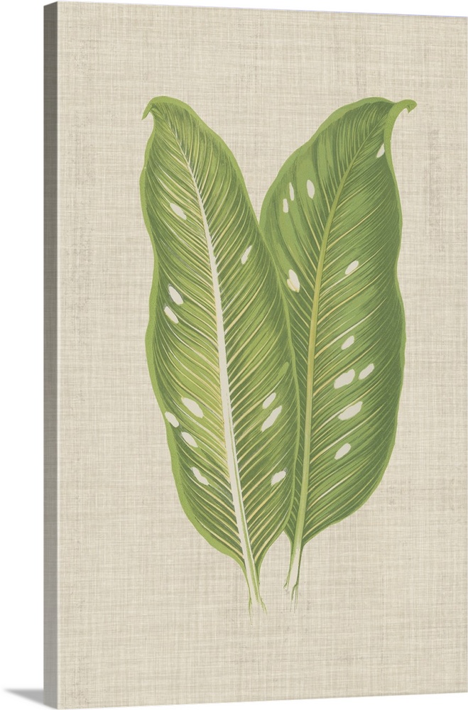 This decorative artwork features an illustrated front and back view of a leaf with light green veins over a neutral linen ...