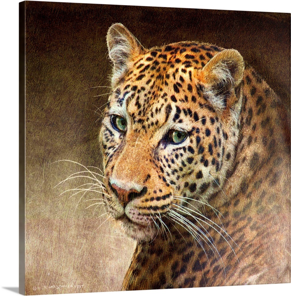 Leopard Wall Art, Canvas Prints, Framed Prints, Wall Peels Great Big