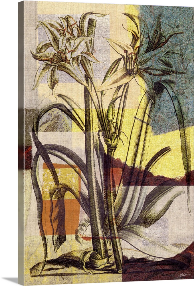 Decorative artwork featuring a vintage lily print over an abstract background.