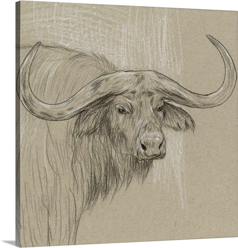 Black and white sketch of a longhorn on a neutral background.
