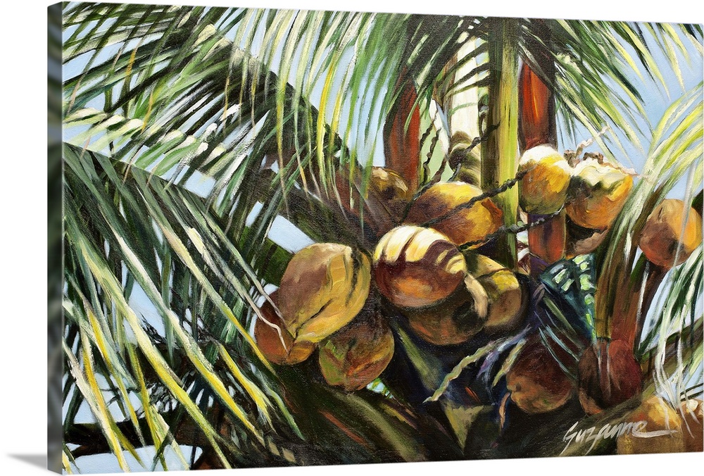 A painting of a group of coconuts on a palm tree.