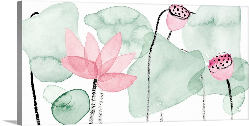 Lotus in Nature IV