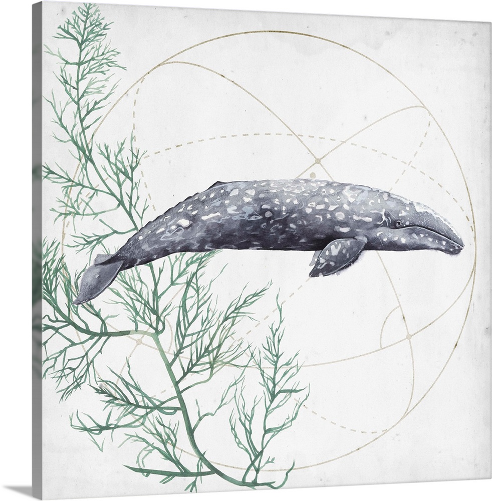 Contemporary watercolor painting of a whale against a background of geometric shapes and seaweed leaves.
