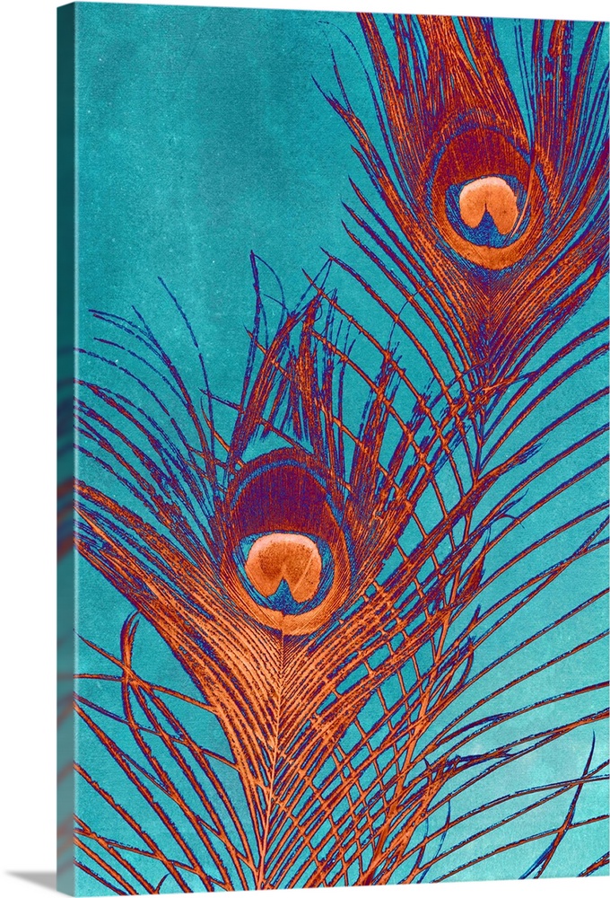 Contemporary home decor artwork of red and purple peacock feathers against a teal background.