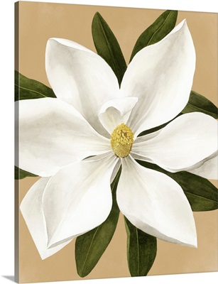 Magnolia On Gold II