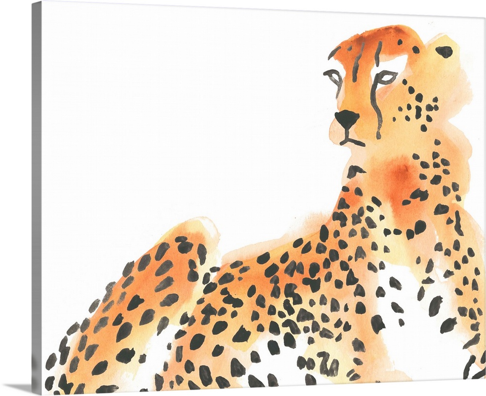 Majestic Cheetah I