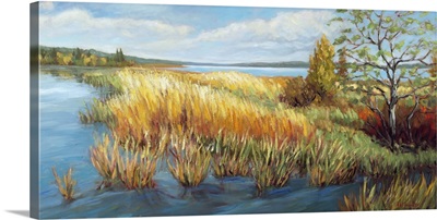 Marsh Edge