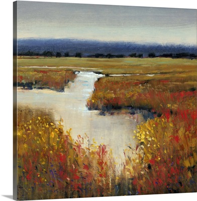 Marsh Land I