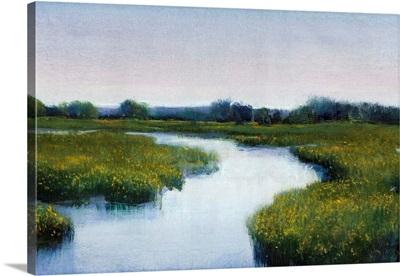 Marshlands I
