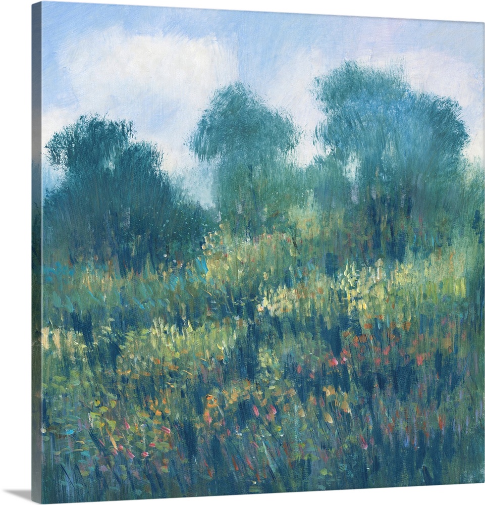 Meadow Wildflowers II
