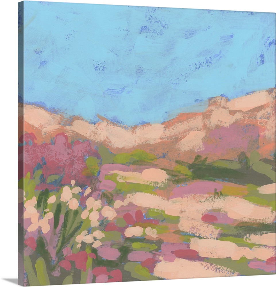 Mesa Meadow Valley I