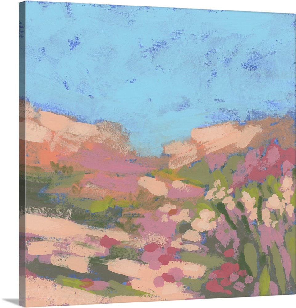 Mesa Meadow Valley II