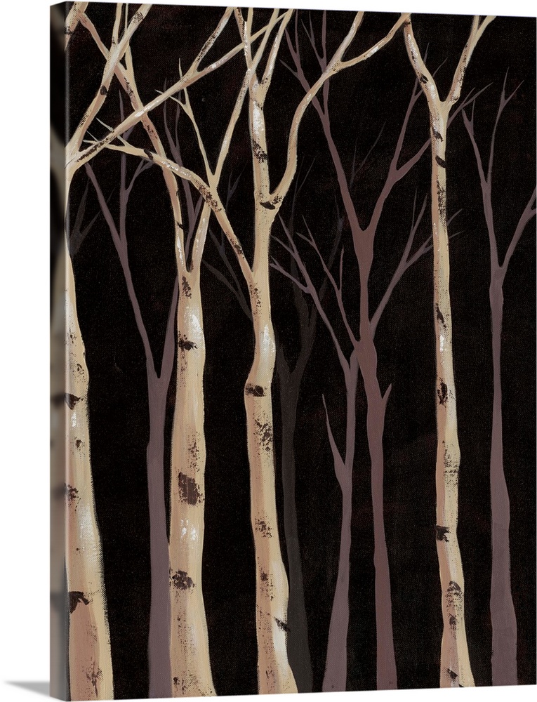 Midnight Birches II