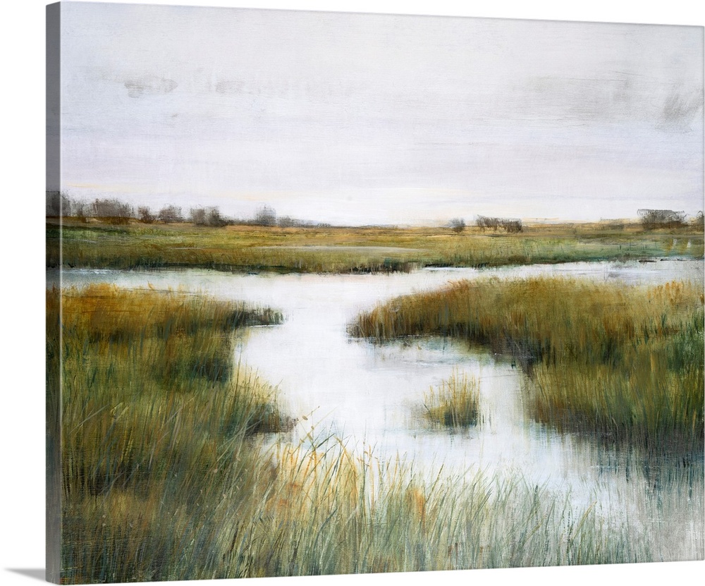 A beautiful serene scene of tall reeds growing in a marsh setting. The grasses are tipped with gold to suggest late aftern...