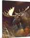 image thumbnail of Moose Portrait