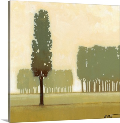 Moss Grove I