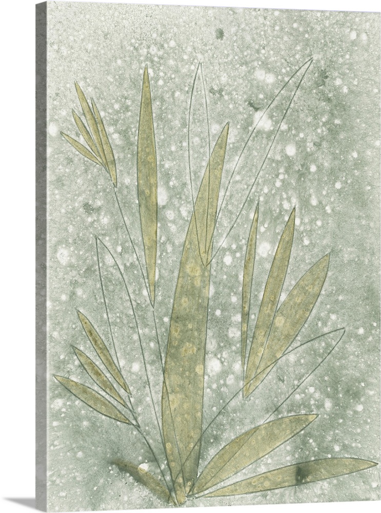 Mottled Glade I