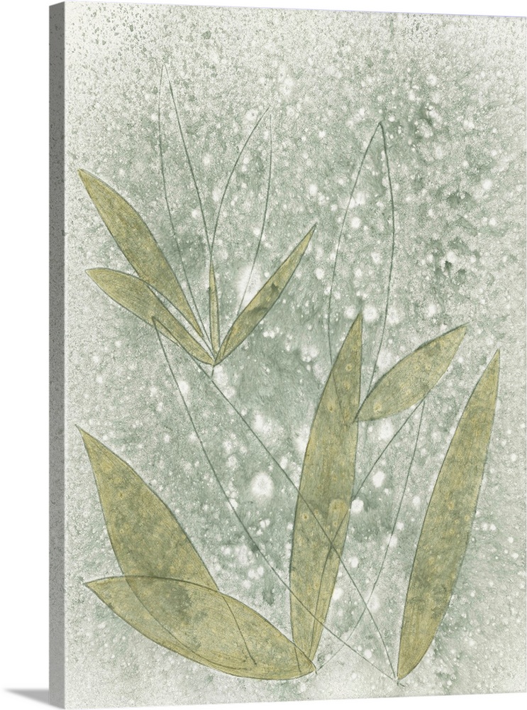 Mottled Glade II
