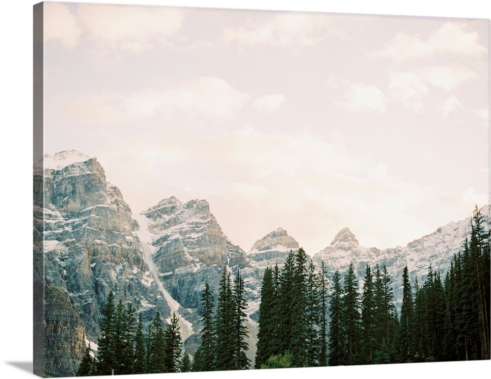 Photograph of tall evergreen trees in front of snow covered mountains, Lake Louise, Canada