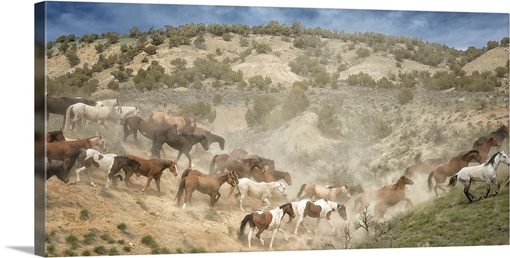Fine art photo of a herd of wild horses crossing a valley.