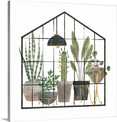 My Greenhouse IV