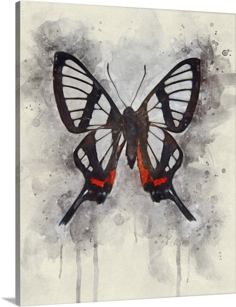 A glasswing butterfly rendered in watercolors.