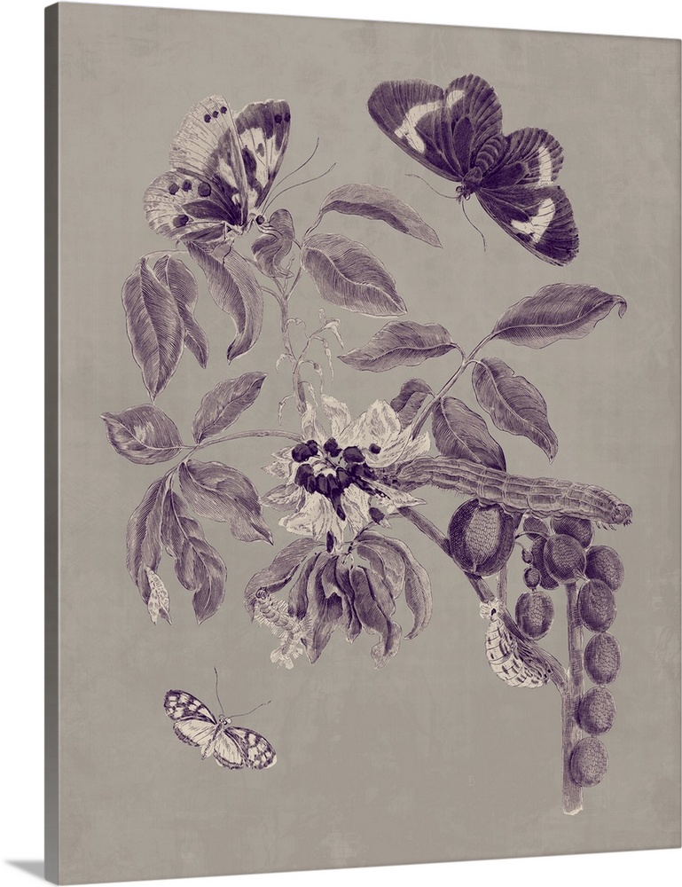 Nature Study in Plum and Taupe II