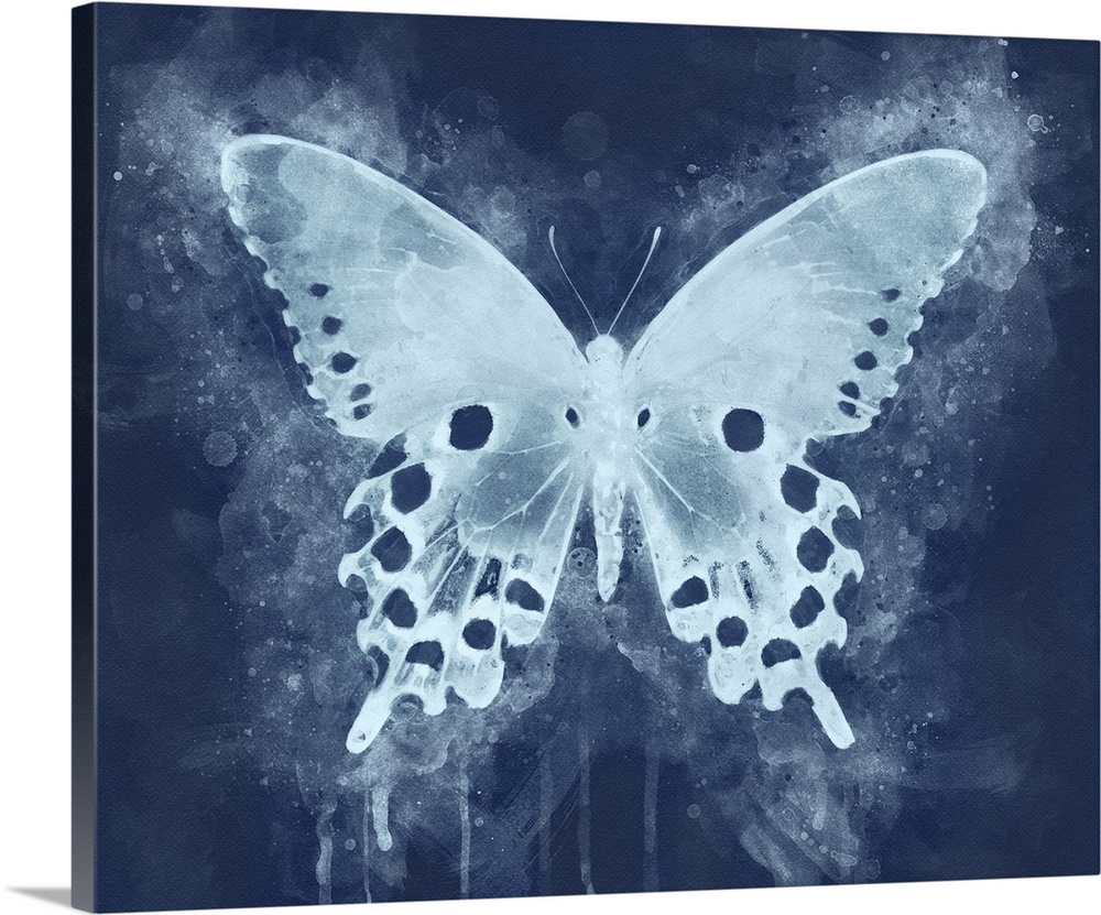 A butterfly dripping with watercolors and rendered in dual tone indigo.