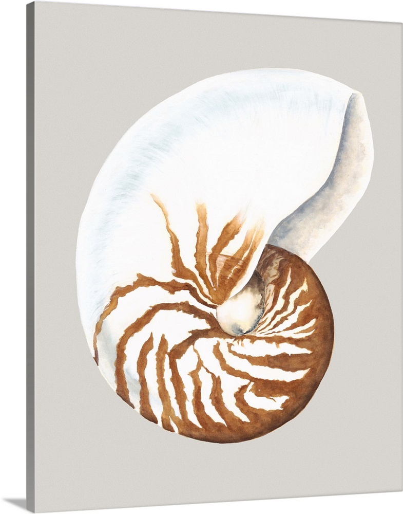 Contemporary artwork of a detailed seashell.