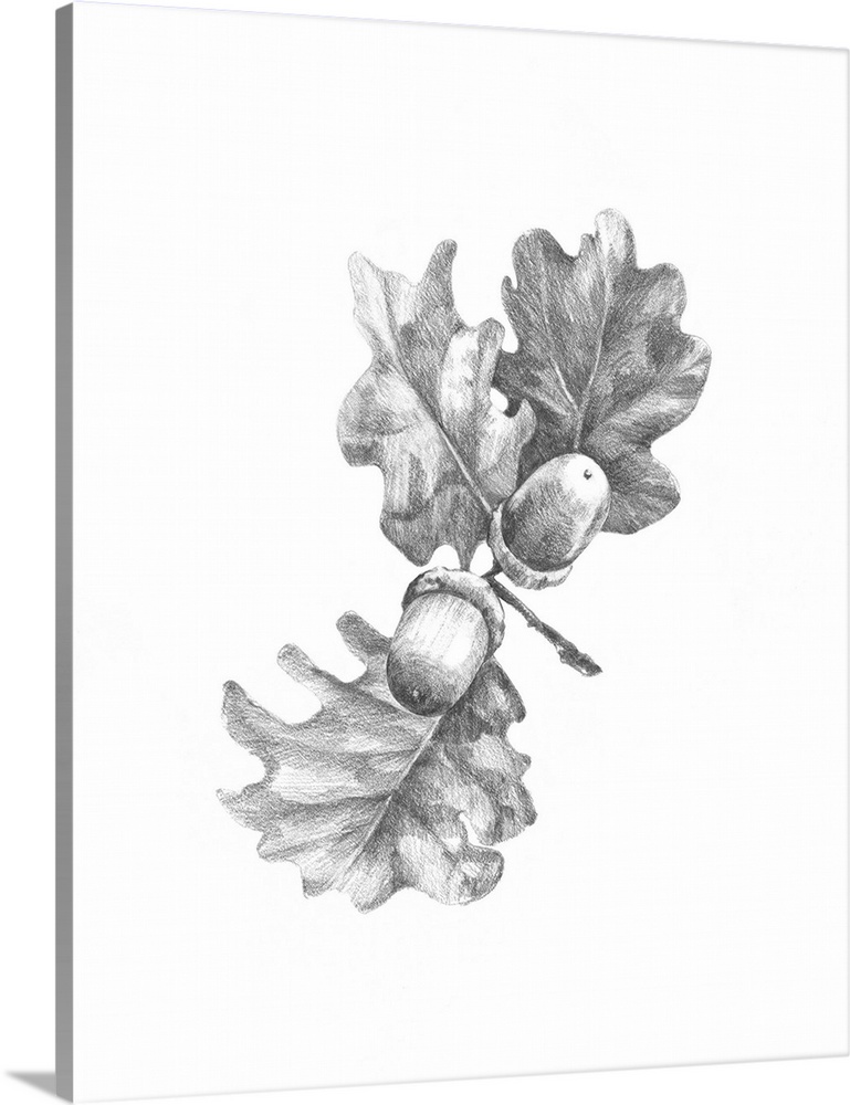 leaf 🌿 sketch pen art : r/drawing