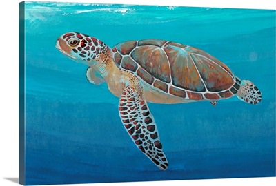 Ocean Sea Turtle II
