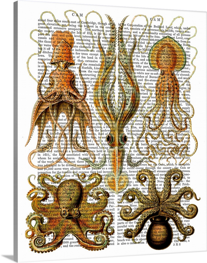 Five varieties of squid and octopi painted over a vintage dictionary page.