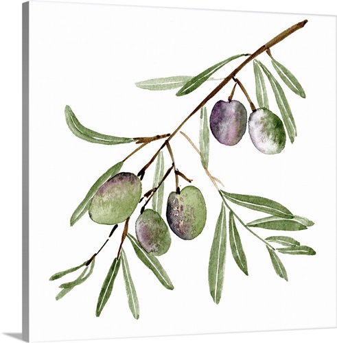 Olive Branch I Solid-Faced Canvas Print