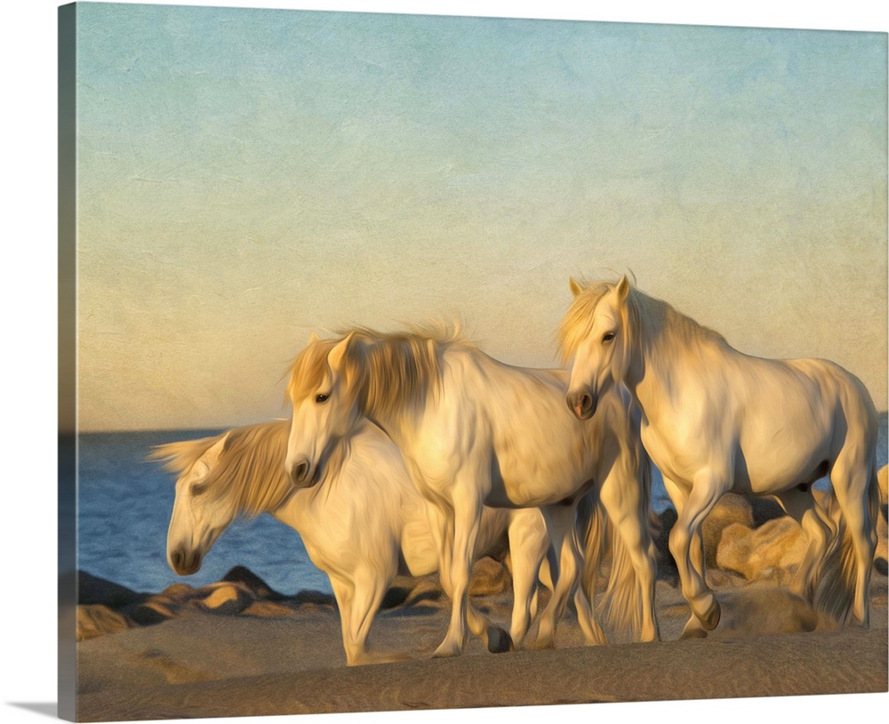 Photograph of a group of white horses grazing on a beach.