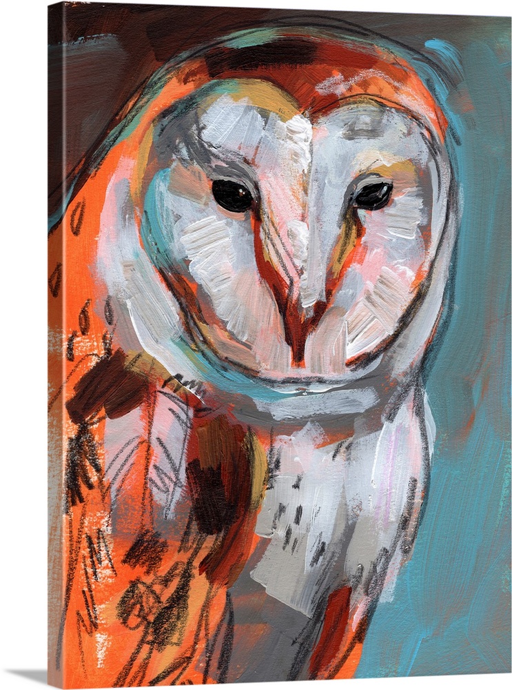 Optic Owl I
