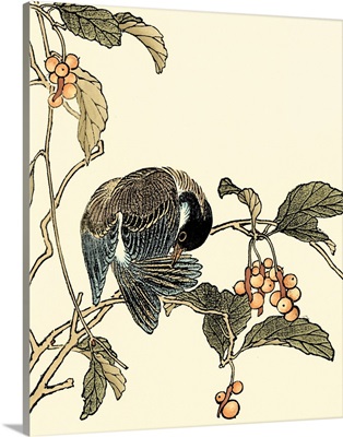 Oriental Bird on Branch IV